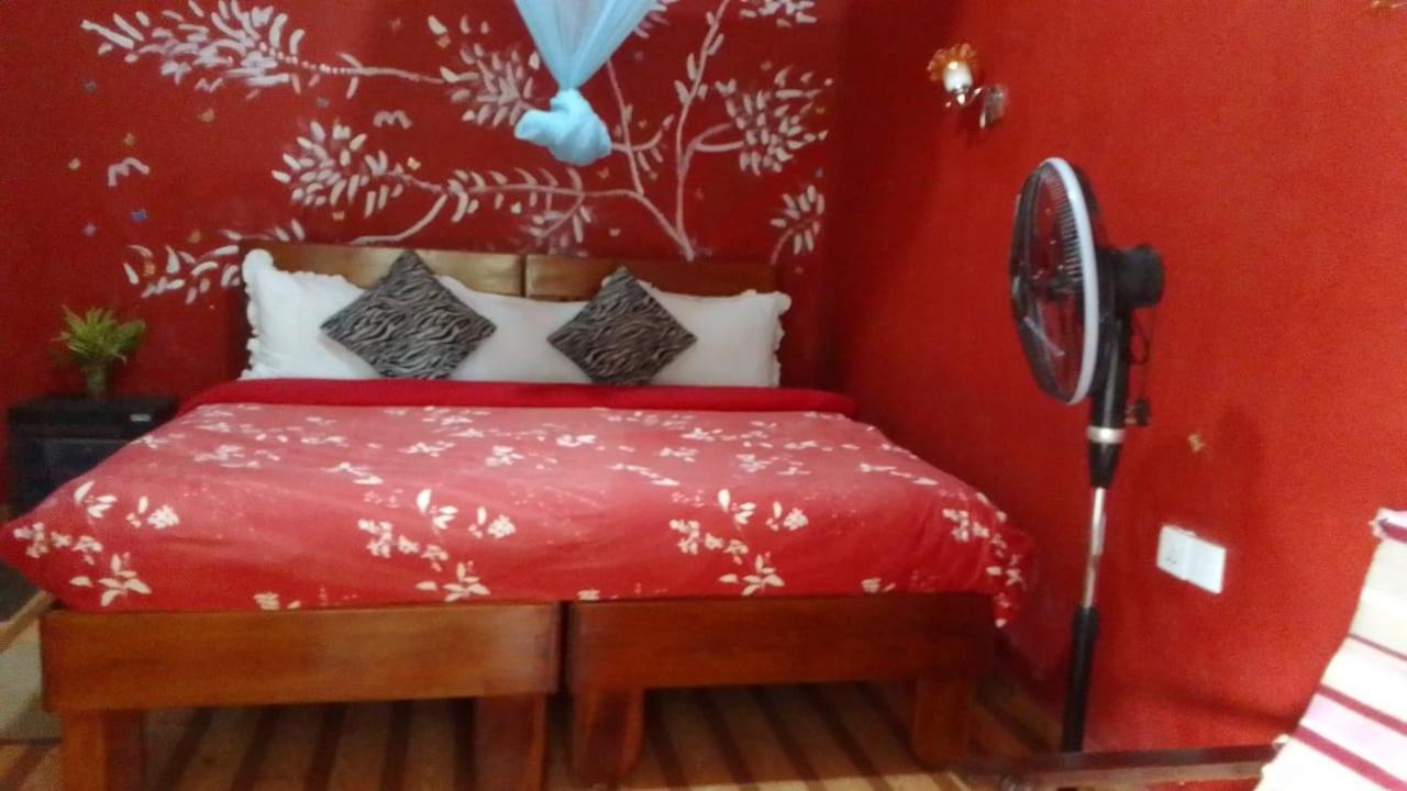 Séjour chez l'habitant Secret Nest